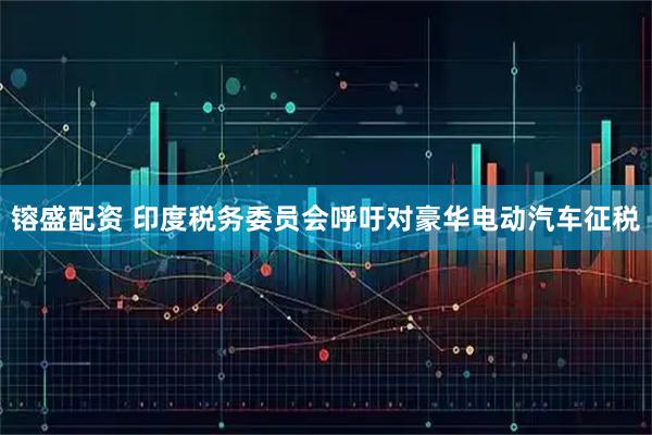 镕盛配资 印度税务委员会呼吁对豪华电动汽车征税