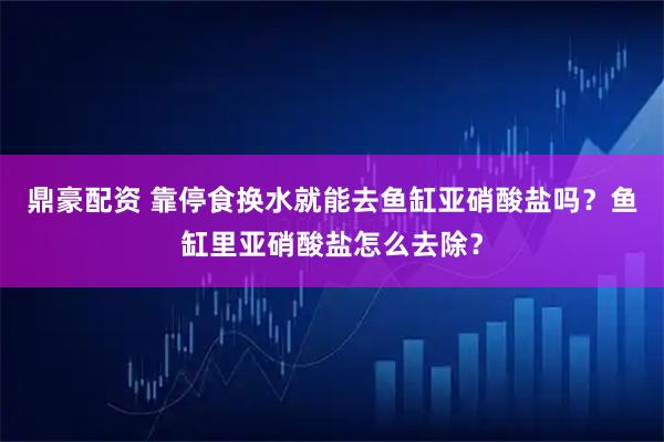 鼎豪配资 靠停食换水就能去鱼缸亚硝酸盐吗？鱼缸里亚硝酸盐怎么去除？
