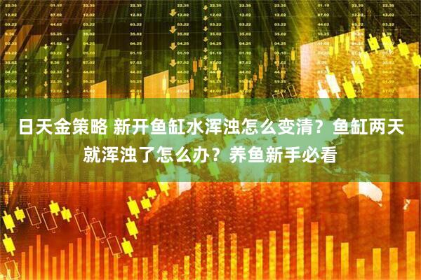 日天金策略 新开鱼缸水浑浊怎么变清？鱼缸两天就浑浊了怎么办？养鱼新手必看