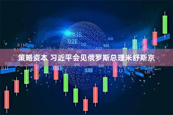策略资本 习近平会见俄罗斯总理米舒斯京