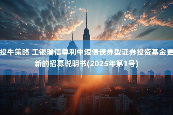 投牛策略 工银瑞信尊利中短债债券型证券投资基金更新的招募说明书(2025年第1号)