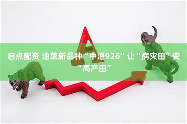 启点配资 油菜新品种“中油926”让“病灾田”变“高产田”