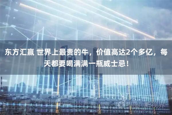 东方汇赢 世界上最贵的牛，价值高达2个多亿，每天都要喝满满一瓶威士忌！