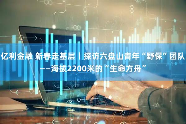 亿利金融 新春走基层丨探访六盘山青年“野保”团队——海拔2200米的“生命方舟”
