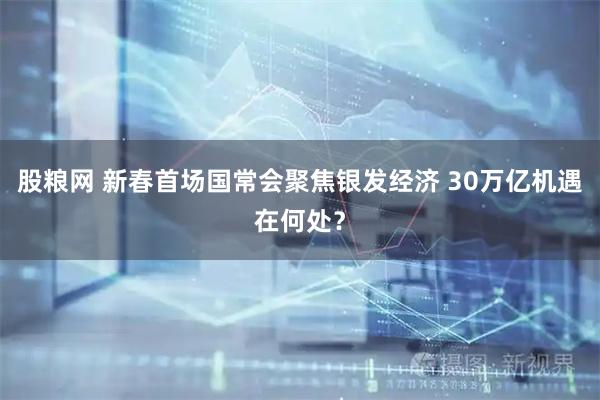股粮网 新春首场国常会聚焦银发经济 30万亿机遇在何处？