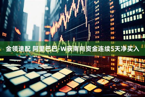金领速配 阿里巴巴-W获南向资金连续5天净买入